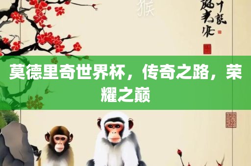莫德里奇世界杯，传奇之路，荣耀之巅