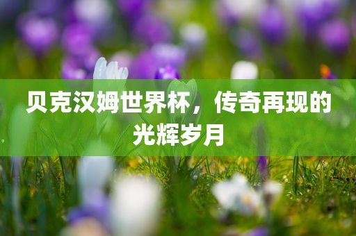 贝克汉姆世界杯，传奇再现的光辉岁月