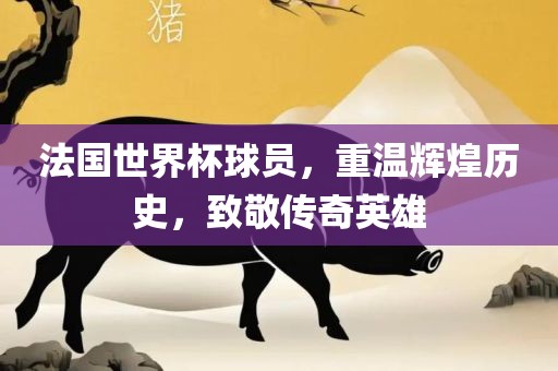法国世界杯球员，重温辉煌历史，致敬传奇英雄