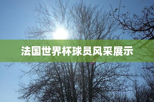 法国世界杯球员风采展示
