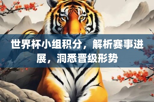 世界杯小组积分，解析赛事进展，洞悉晋级形势