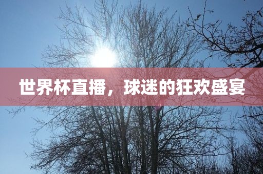世界杯直播，球迷的狂欢盛宴吉安市靖泰电力工程有限公司
