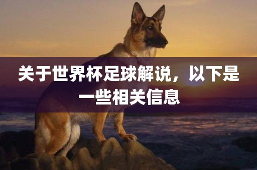关于世界杯足球解说，以下是一些相关信息