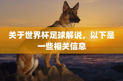 关于世界杯足球解说，以下是一些相关信息吉安市靖泰电力工程有限公司