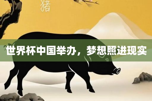 世界杯中国举办，梦想照进现实