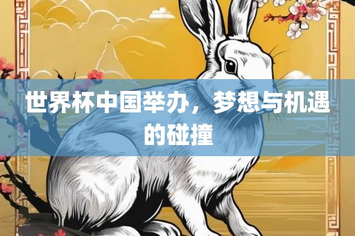 世界杯中国举办，梦想与机遇的碰撞