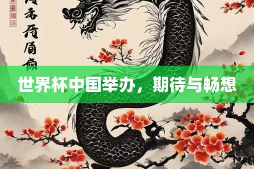 世界杯中国举办，期待与畅想