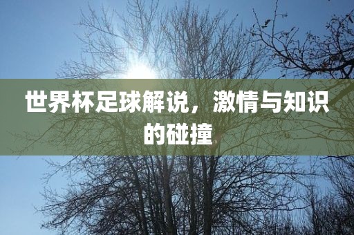世界杯足球解说，激情与知识的碰撞吉安市靖泰电力工程有限公司