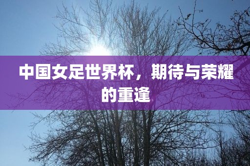 中国女足世界杯，期待与荣耀的重逢