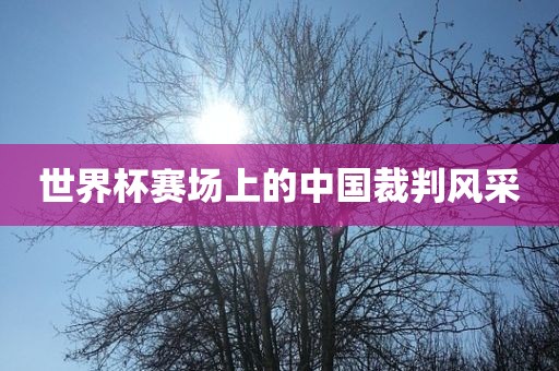 世界杯赛场上的中国吉安市靖泰电力工程有限公司裁判风采