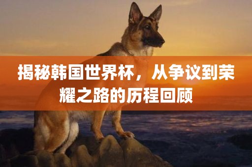 揭秘韩国世界杯，从争议到荣耀之路的历程回顾