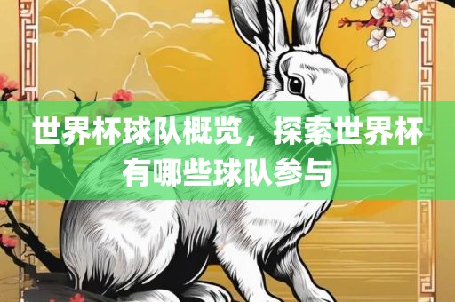 世界杯球队概览，探索世界杯有哪些球队参与