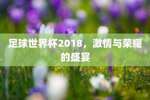 足球世界杯2018，激情与荣耀的盛宴