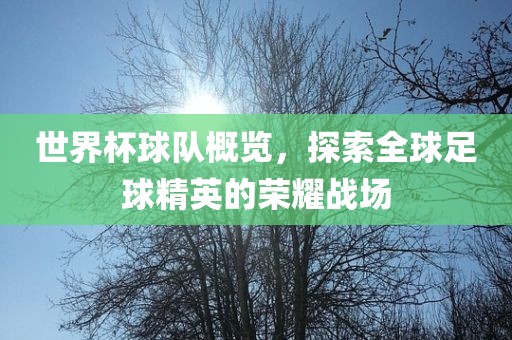 世界杯球队概览，探索全球足球精英的荣耀战场
