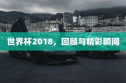 世界杯2018，回顾与吉安市靖泰电力工程有限公司精彩瞬间