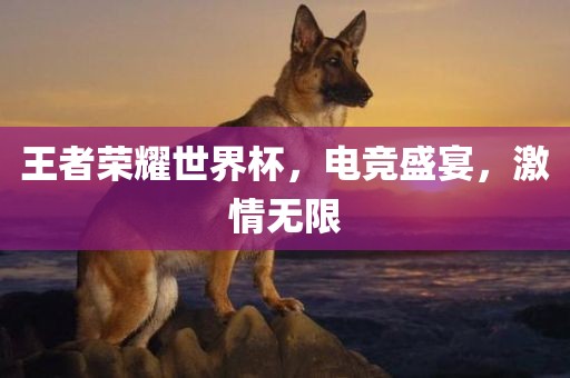 王者荣耀世界杯，电竞盛宴，激情无限