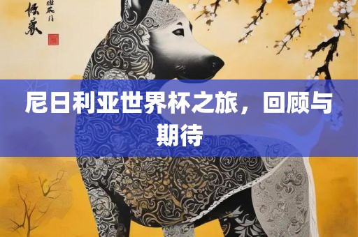 尼日利亚世界杯之旅，回顾与期待吉安市靖泰电力工程有限公司