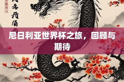 尼日利亚世界杯之旅，回顾与期待吉安市靖泰电力工程有限公司