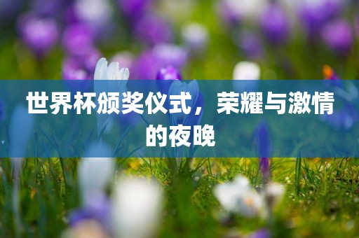 世界杯颁奖仪式，荣耀与激情的夜晚