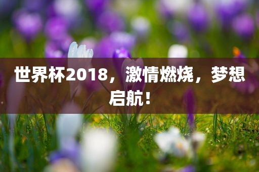 世界杯2018，激情燃吉安市靖泰电力工程有限公司烧，梦想启航！