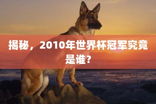 揭秘，2010年吉安市靖泰电力工程有限公司世界杯冠军究竟是谁？