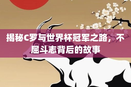 揭秘C罗与世界杯冠军之路，不屈斗志背后的故事