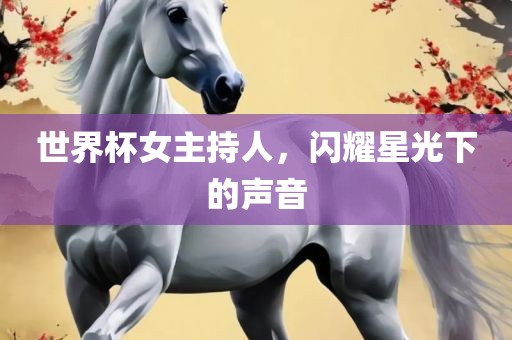 世界杯女主持人，闪耀星光下的声音
