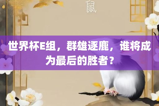 世界杯E组，群雄逐鹿，谁将成为最后的胜者？