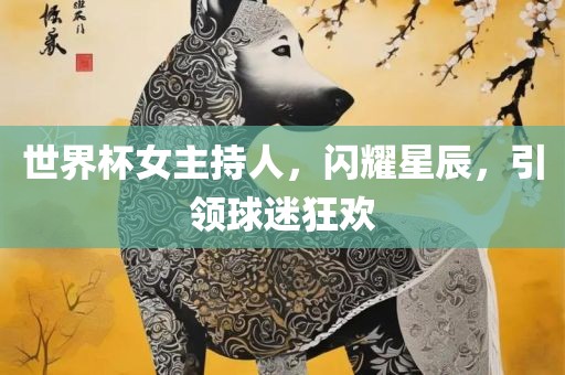 世界杯女主持人，闪耀星辰，引领球迷狂欢