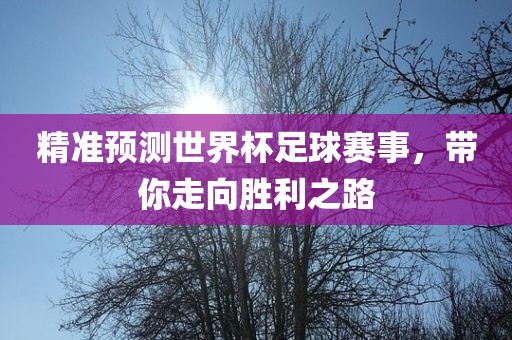 精准预测世界杯足球赛事，带你走向胜利之路