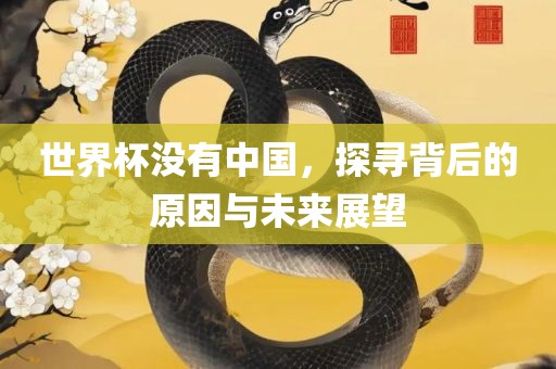 世界杯没有中国，探寻背后的原因与未来展望