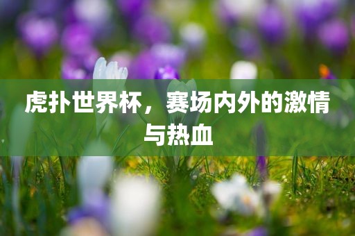 虎扑世界杯，赛场内外的激情与热血