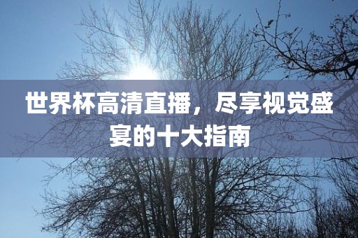 世界杯高清直播，尽享视觉盛宴的十大指南