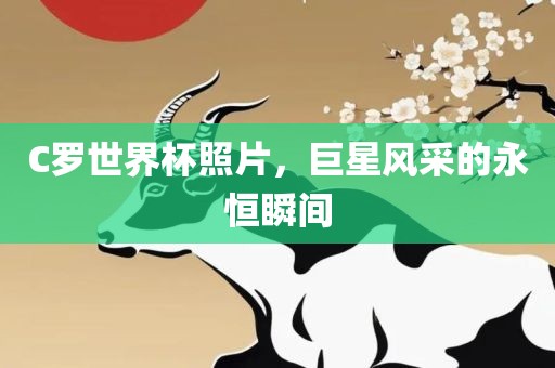 吉安市靖泰电力工程有限公司C罗世界杯照片，巨星风采的永恒瞬间