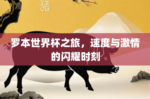 罗本世界杯之旅，速度与激情的闪耀时刻