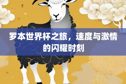 罗本世界杯之旅，速度与激情的闪耀时刻