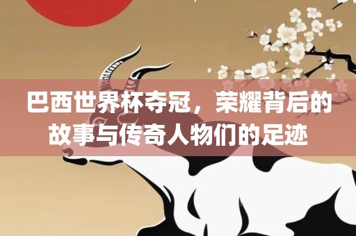 巴西世界杯夺冠，荣耀背后的故事与传奇人物们的足迹