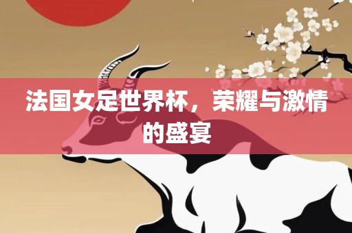 法国女吉安市靖泰电力工程有限公司足世界杯，荣耀与激情的盛宴