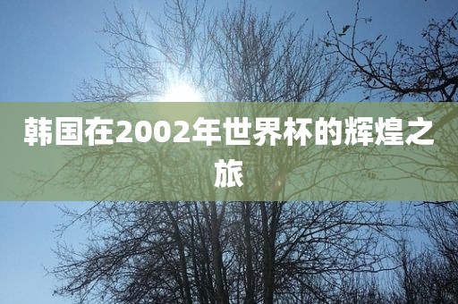 韩国在2002年世界杯的辉煌之旅吉安市靖泰电力工程有限公司