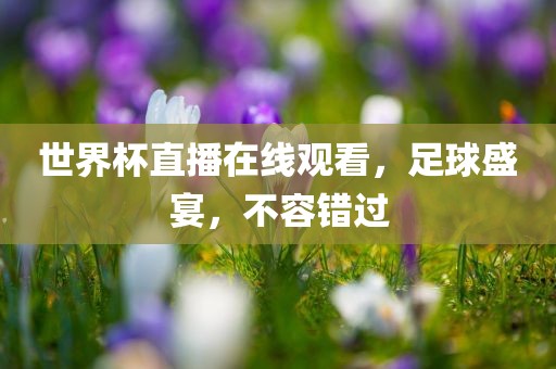 世界杯直播 第12页