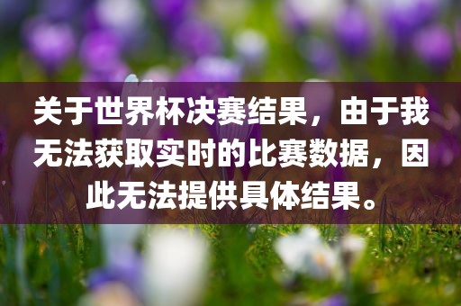 关于世界杯决赛结果，由于我无法获取实时的比赛数据，因此无法提供具体结果。