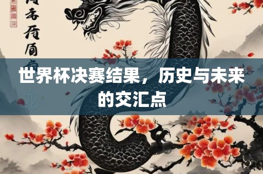 世界杯决赛结果，历史与未来的交汇点