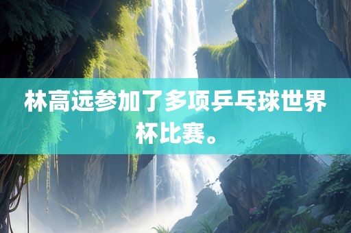 林高远参加了多项乒乓球世界杯比赛。