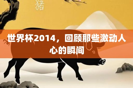 世界杯2014，回顾那些激动人心的瞬间