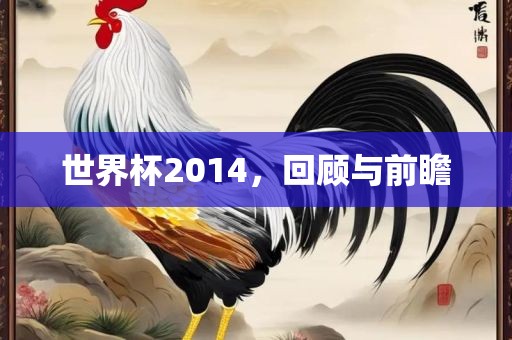 世界杯2014，回顾与前瞻