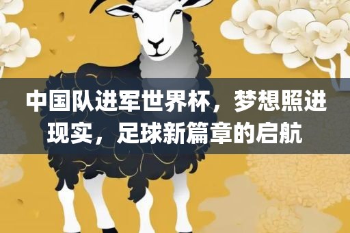 中国队进军世界杯，梦想照进现实，足球新篇章的启航