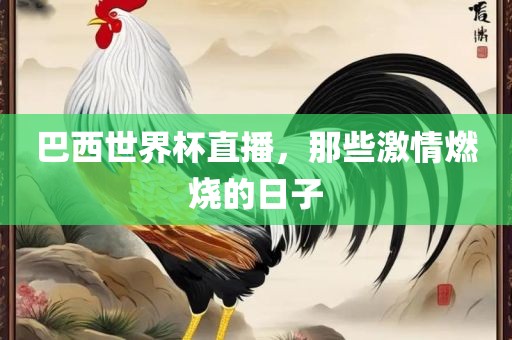巴西世界杯直播，那些激情燃烧的日子
