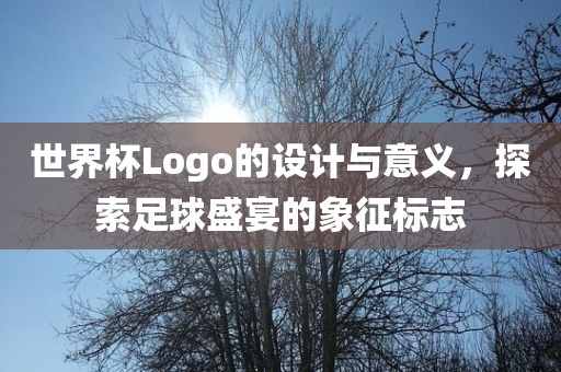 世界杯Logo的设计与意义，探索足球盛宴的象征标志吉安市靖泰电力工程有限公司
