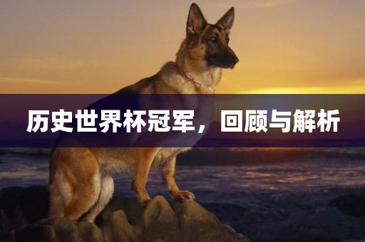 历史世界杯冠军，回顾与解析吉安市靖泰电力工程有限公司