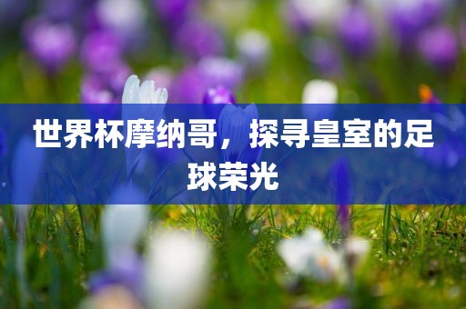 世界杯摩纳哥，探寻皇室的足球荣光吉安市靖泰电力工程有限公司